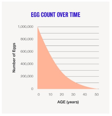 How many eggs does a woman have? At birth, 30s, and menopause
